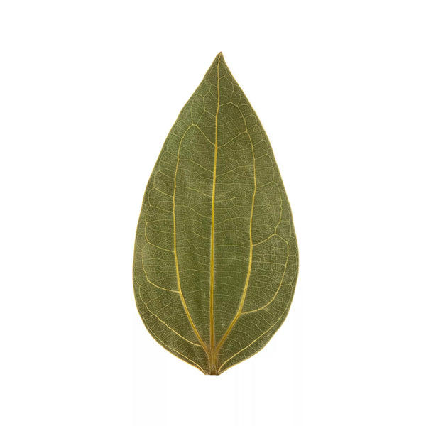 その他 leaf P5020871___-_10pcs-2_grande.