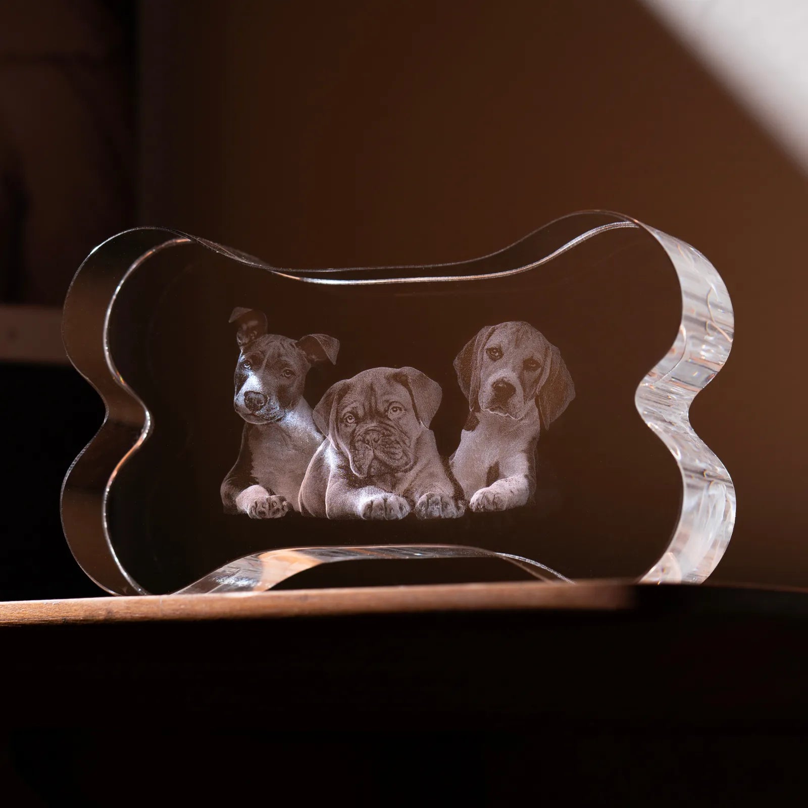 Bone shaped k9 crystal 01