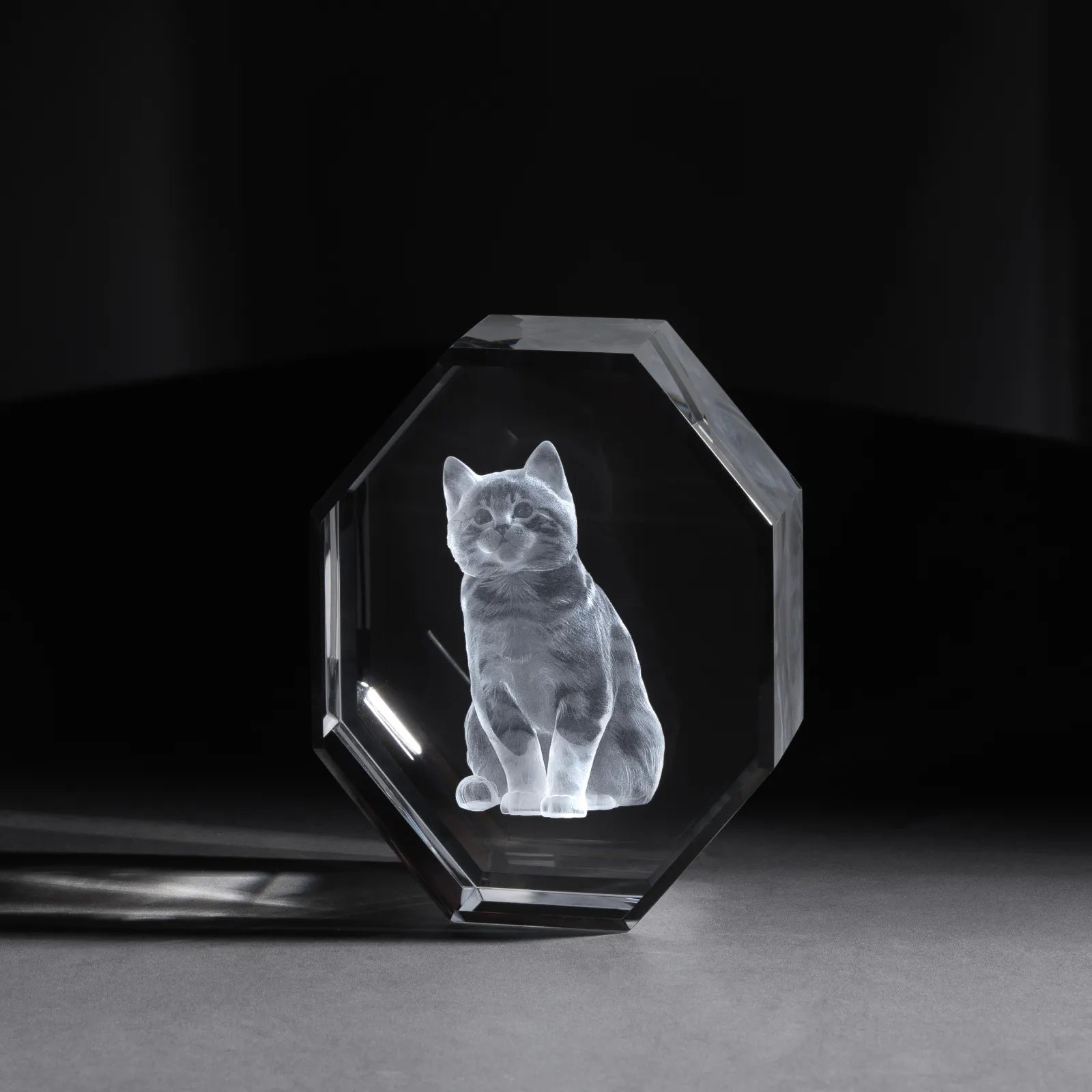 Octagon k9 crystal 03