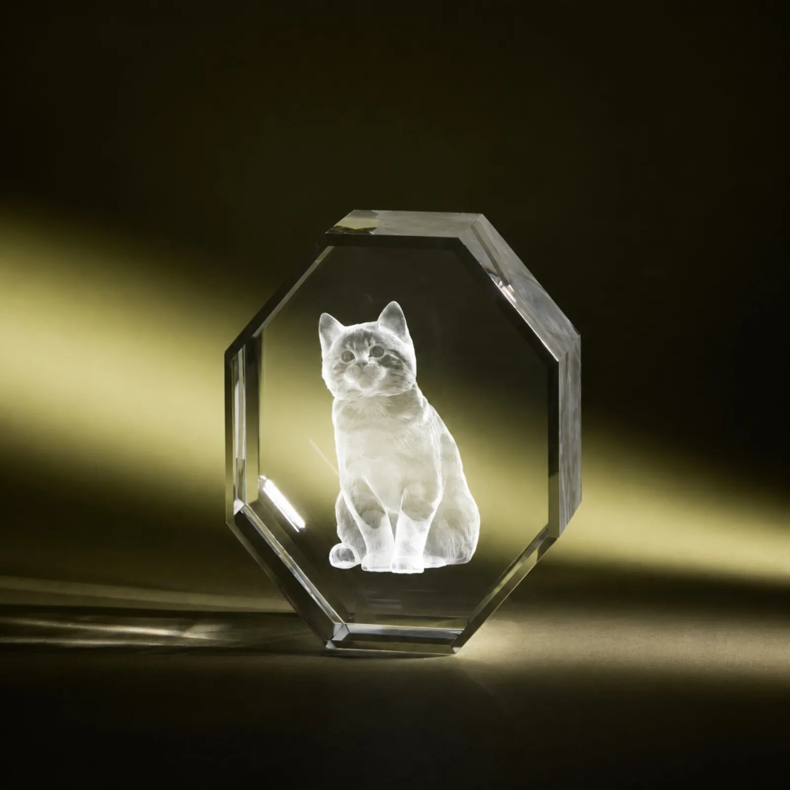 Octagon k9 crystal 04