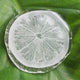 Irregular Round Glass Coaster (2pcs)