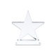 star shaped acrylic trophy 2pcs