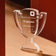 trophy shaped acrylic award 2pcs